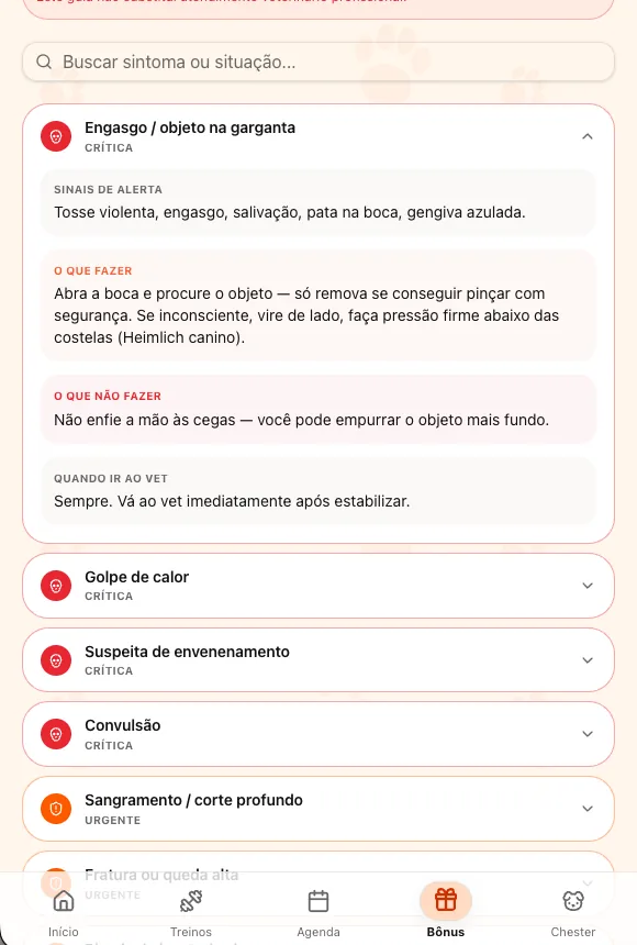 Bônus 4